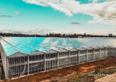 BC Greenhouse Biomass to Energy Project